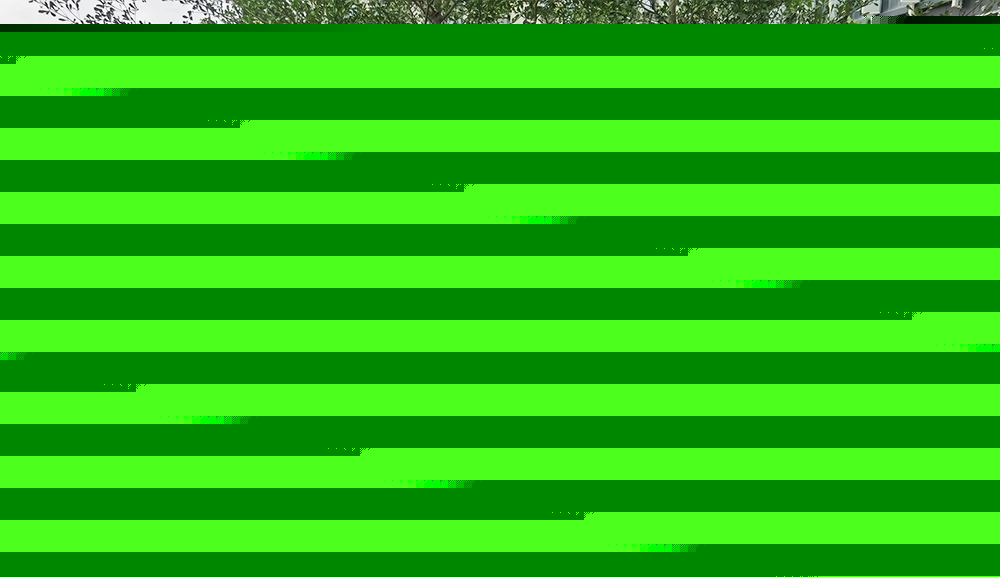 树池 树池