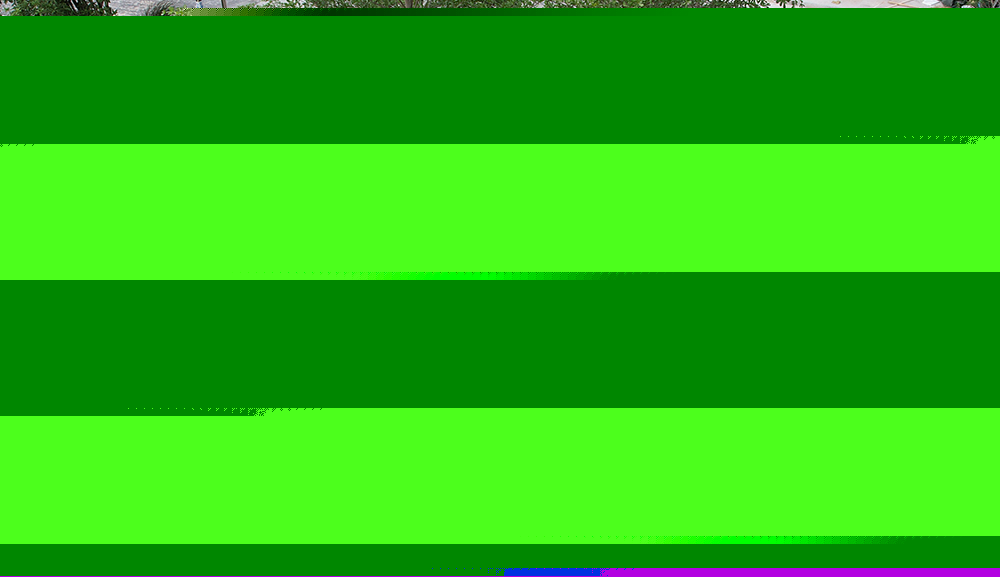 玻璃钢树池图片